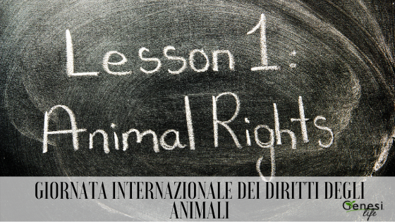 10 Dicembre: Giornata Internazionale dei Diritti degli Animali
