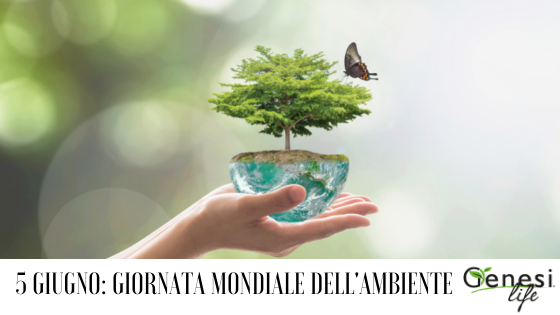 5 giugno: Giornata mondiale dell’Ambiente – World Environment Day