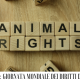 Oggi 10 dicembre è la Giornata Mondiale dei Diritti degli Animali
