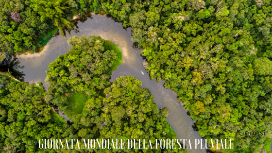 Ventidue giugno: la giornata dedicata alla Foresta Pluviale - World Rainforest Day