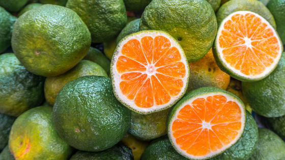 Una giornata dedicata all'agrume più amato e conosciuto: l'arancia!