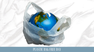 Il 3 luglio ricorre l’International Plastic Bag Free Day