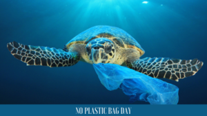 No Plastic Bag Day la giornata contro l’inquinamento da plastica