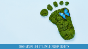 Sostenibilità Aziendale: Come Genesi Life Utilizza i Carbon Credits