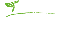 logo-genesi-life-big