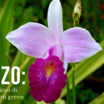 Marzo: un mese ricco di appuntamenti green