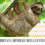 3 Maggio: Giornata Mondiale della Lentezza, rallentare per guadagnare tempo!