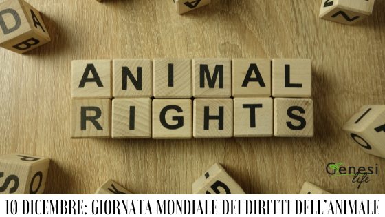 Oggi 10 dicembre è la Giornata Mondiale dei Diritti degli Animali