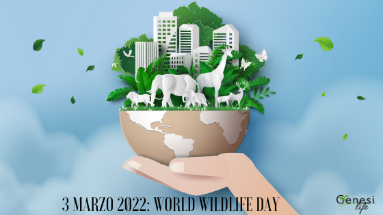 La Giornata Mondiale della Natura Selvatica torna per farci riflettere