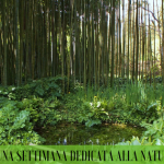 Dal 20 al 23 marzo appuntamento con l'ecosostenibilità