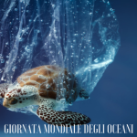 Dal 2008 ogni 8 giugno si celebra la Giornata Mondiale degli Oceani.