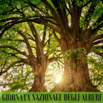 La Giornata Nazionale degli Alberi nella lotta al cambiamento climatico