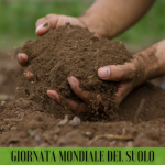 Giornata Mondiale del Suolo, per la salvaguardia del nutrimento del nostro Pianeta