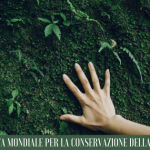 Il 28 luglio è la Giornata mondiale per la Conservazione della Natura