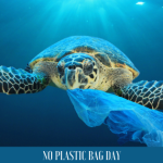 No Plastic Bag Day la giornata contro l’inquinamento da plastica