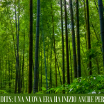 Carbon credits: una nuova era ha inizio anche per Genesi Life