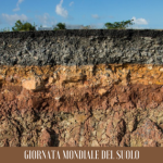 Suolo e Acqua fonti di vita è il tema del World Soil Day 2023