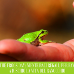 Save the Frog Day: niente baci regali, per favore… a rischio la vita del ranocchio