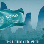 COP29: il futuro (che) ci aspetta