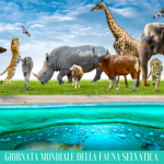 Il 3 marzo è la Giornata Mondiale della Fauna Selvatica