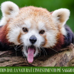 Nature Conservation Day, la natura è l’investimento più saggio del nostro tempo