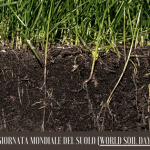 Giornata Mondiale del Suolo, il tema 2025 è suoli sani per città sane